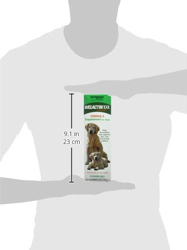 Nutramax Welactin Omega-3 Fish Oil Skin and Coat Health Supplement Liquid for Dogs - 16 Ounce 3 Pack