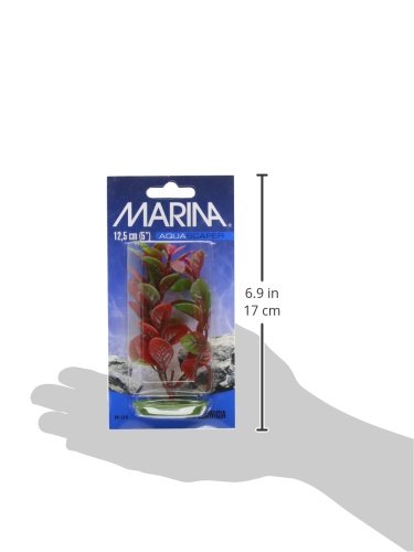 Marina Aquascaper Red Ludwigia Plant, 5-Inch