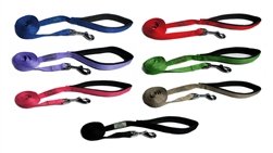 Doggie Design American River Cushion Grip Nylon Dog Leash (Royal Blue, 3/4 Inch X 5 Feet)