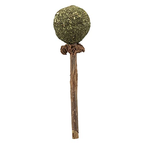 Dog Trust Cat Wand With Catnip Cat Teaser Toys Chewing Toy Molar Toy Cat Chasing Toy Teeth Cleaning Dental Toy Cat Treats Intera