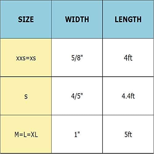 Unique Style Paws Pride Day Rainbow Dog Leash, Love Is Love Best For Small Medium Large Boys Girls Dogs