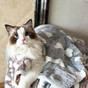 1 Pack 3 Puppy Blankets Super Soft Warm Sleep Mat Grey Cute Print Blanket Fluffy Fleece Pet Blanket Flannel Throw Dog Blankets For Small Dogs Puppy Dogs Fluffy Cats,Bone-Medium(29'X20')