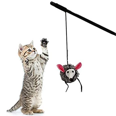 Dog Trust Cat Teaser Playing Mice Stick With Sound For Cat And Kitten