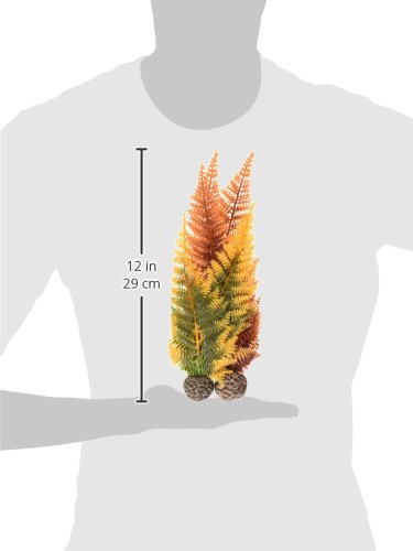 Biorb Autumn Fern Plants - 2 Pack