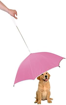 Pourprotection Umbrella With Reflective Lining And Leash Holder