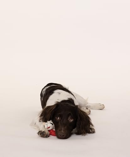 Multipet Lamb Chop White 6' Small | White Lamb Chop Dog Toy | Lamb Chop Sqeaker Toy | 6' | White | Officially Licensed