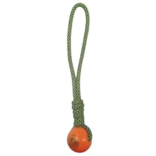Psk Pet Mart Plastic Ball 13 Inch Handle Rope Toys Puppy Toys Chew Toys Dog Toys Teething Toys (Color May Vary, Pack Of One)
