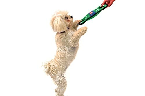 Mlb Miami Marlins Baseball Field Dog Toy With Double Rim Stitching & Inner Squeaker