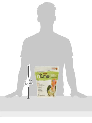 Higgins Intune Natural Hand Feeding Baby Bird Food, 5 Lb