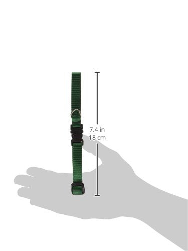 LupinePet Basics 1/2'' Green 10-16'' Adjustable Collar for Small Dogs