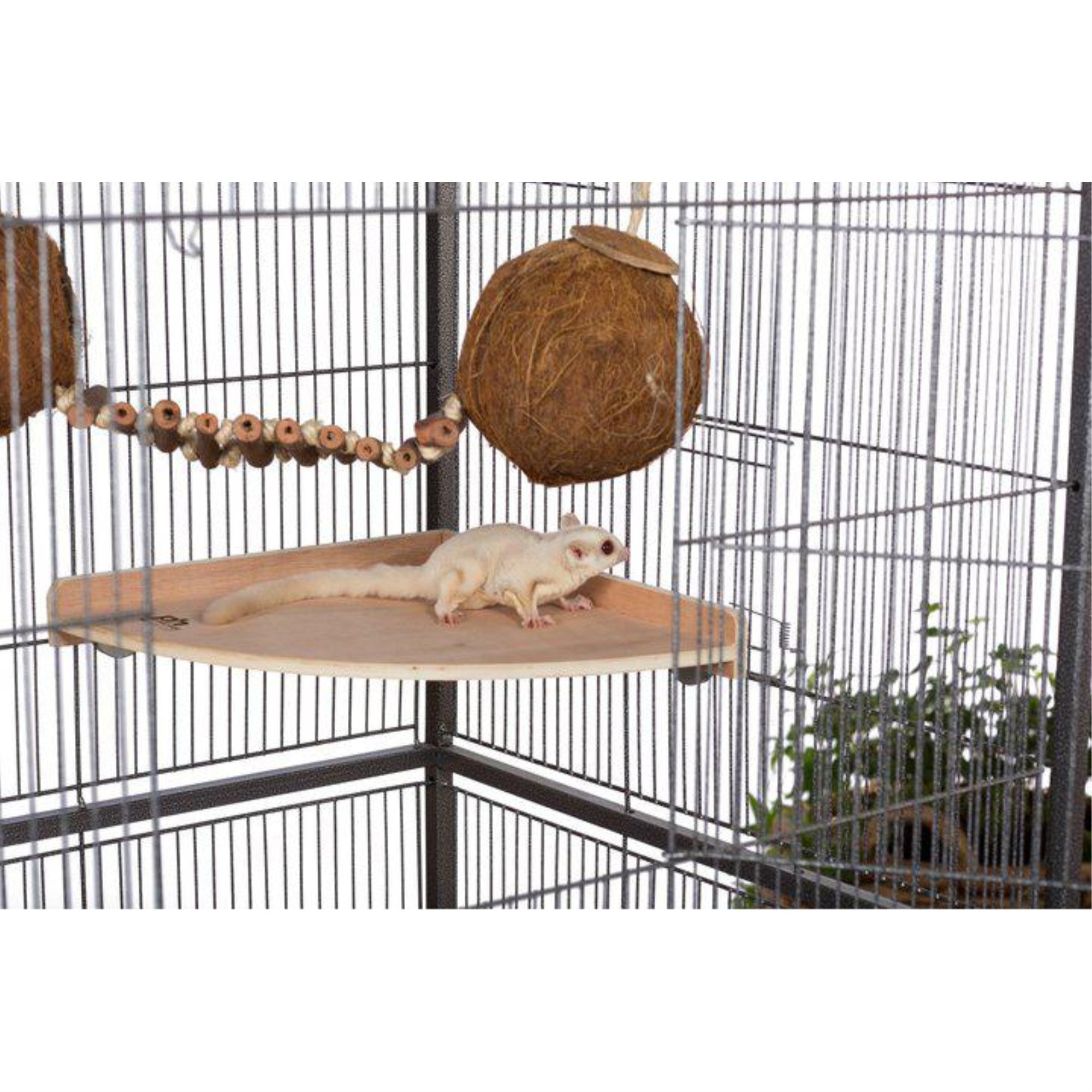 Prevue Pet Medium Corner Shelf - 3202