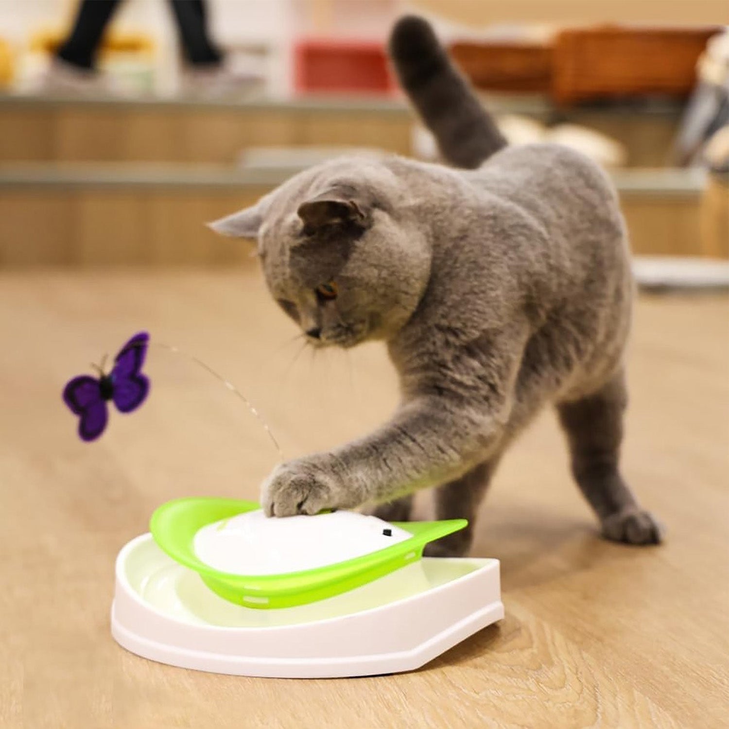 Interactives - Cat Toys - Roll Around Flutter Bug for Enrichment