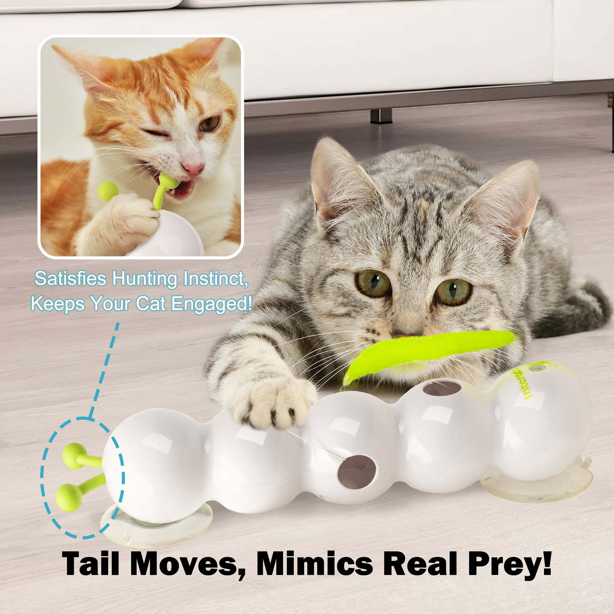 Interactives - Wack'A'Worm Post Cat Toy