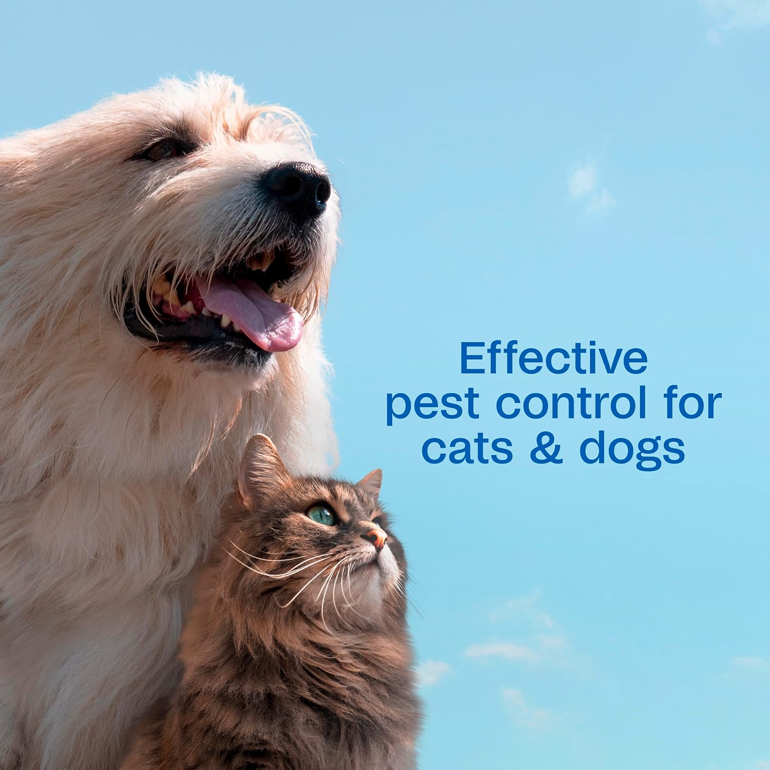 Adams Plus Pet Fleas & Ticks Spray for Cats and Dogs 16 oz. 2-Pack
