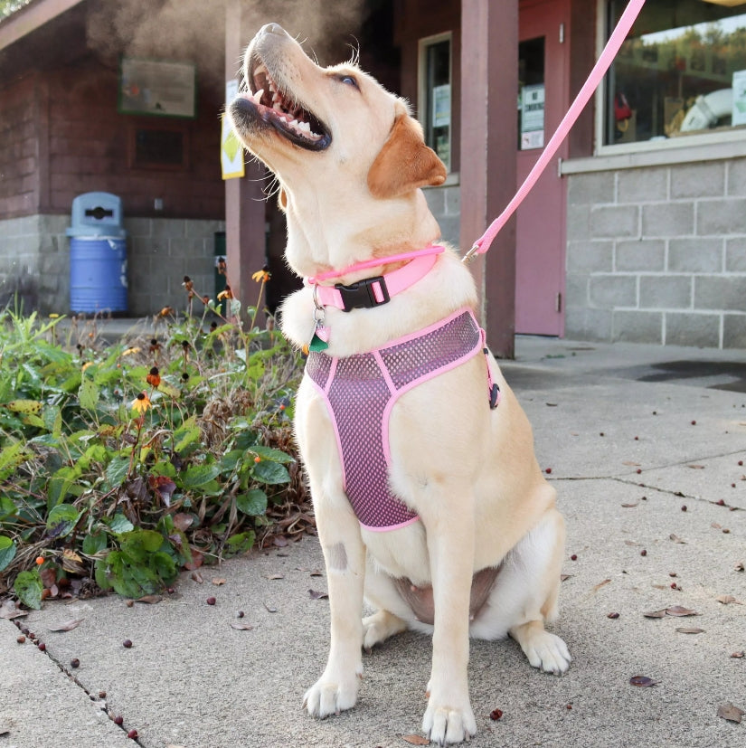 Coastal Pet Comfort Soft Sport Wrap Adjustable Dog Harness Black