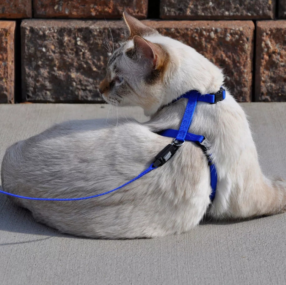 Coastal Pet Figure H Adjustable Cat Harness Pink