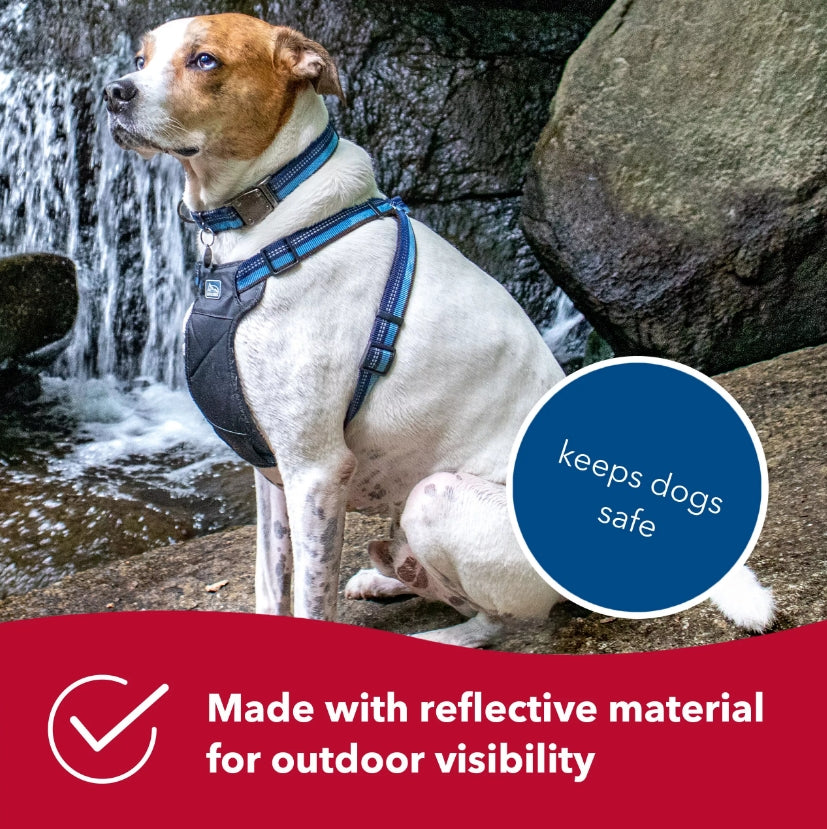 Coastal Pet K9 Explorer Reflective Adjustable Padded Dog Harness Sapphire Blue