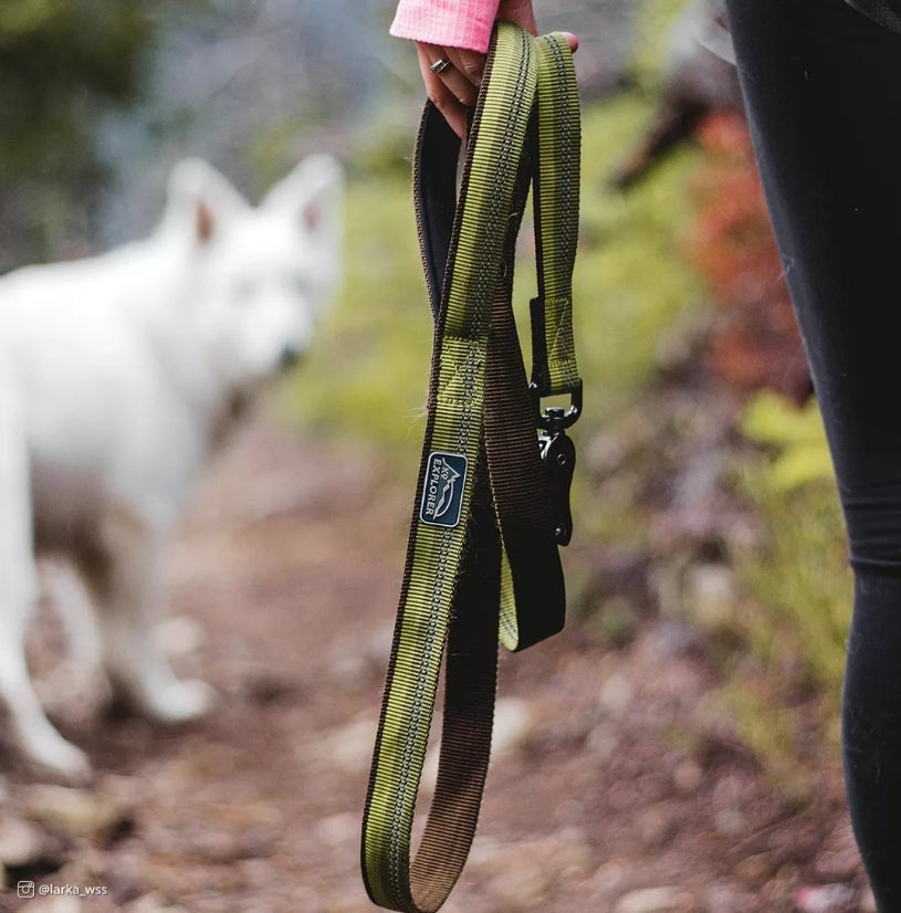 Coastal Pet K9 Explorer Reflective Leash With Scissor Snap Campfire Orange