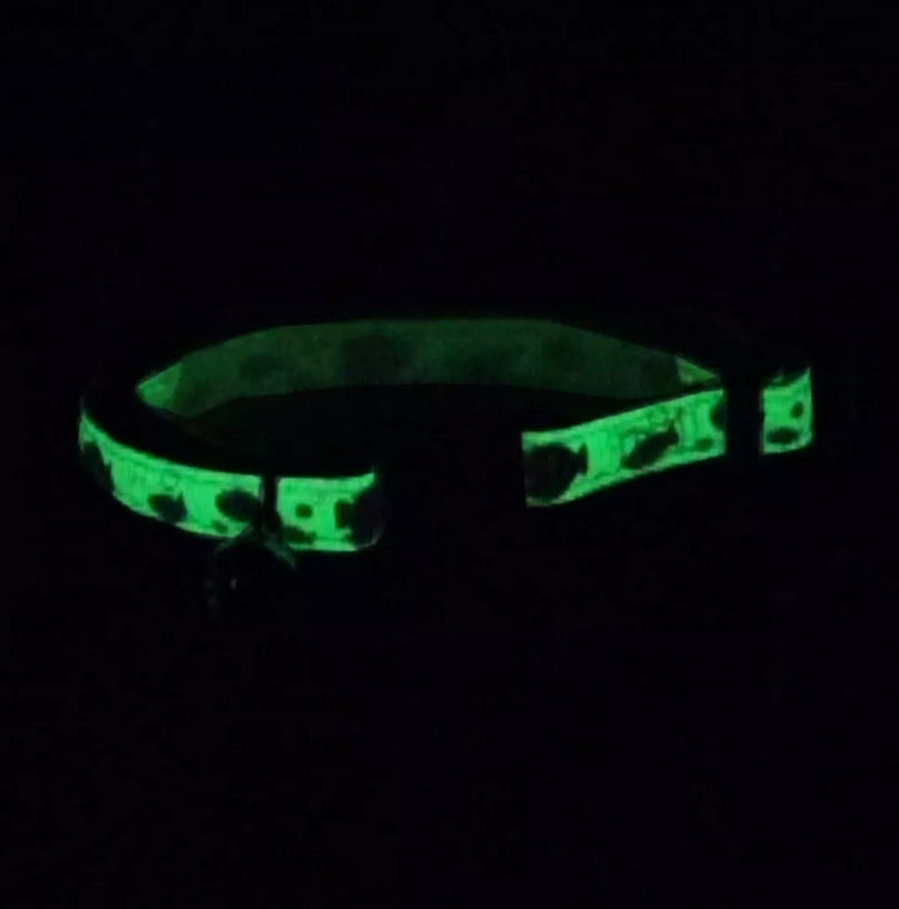 Coastal Pet Safe Cat Glow In The Dark Adjustable Breakaway Collar Blue Fish