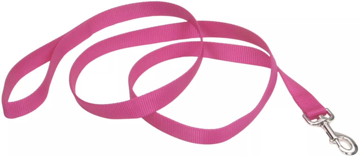 Coastal Pet Single-Ply Nylon Dog Leash Neon Pink