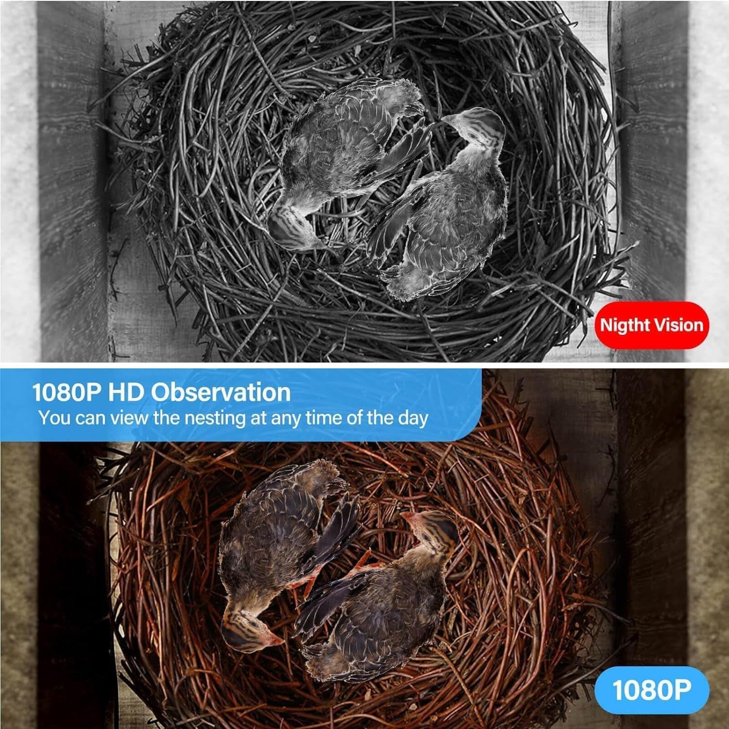 Bird House Camera Solar WiFi 1080P HD Motion Detection Night Vision