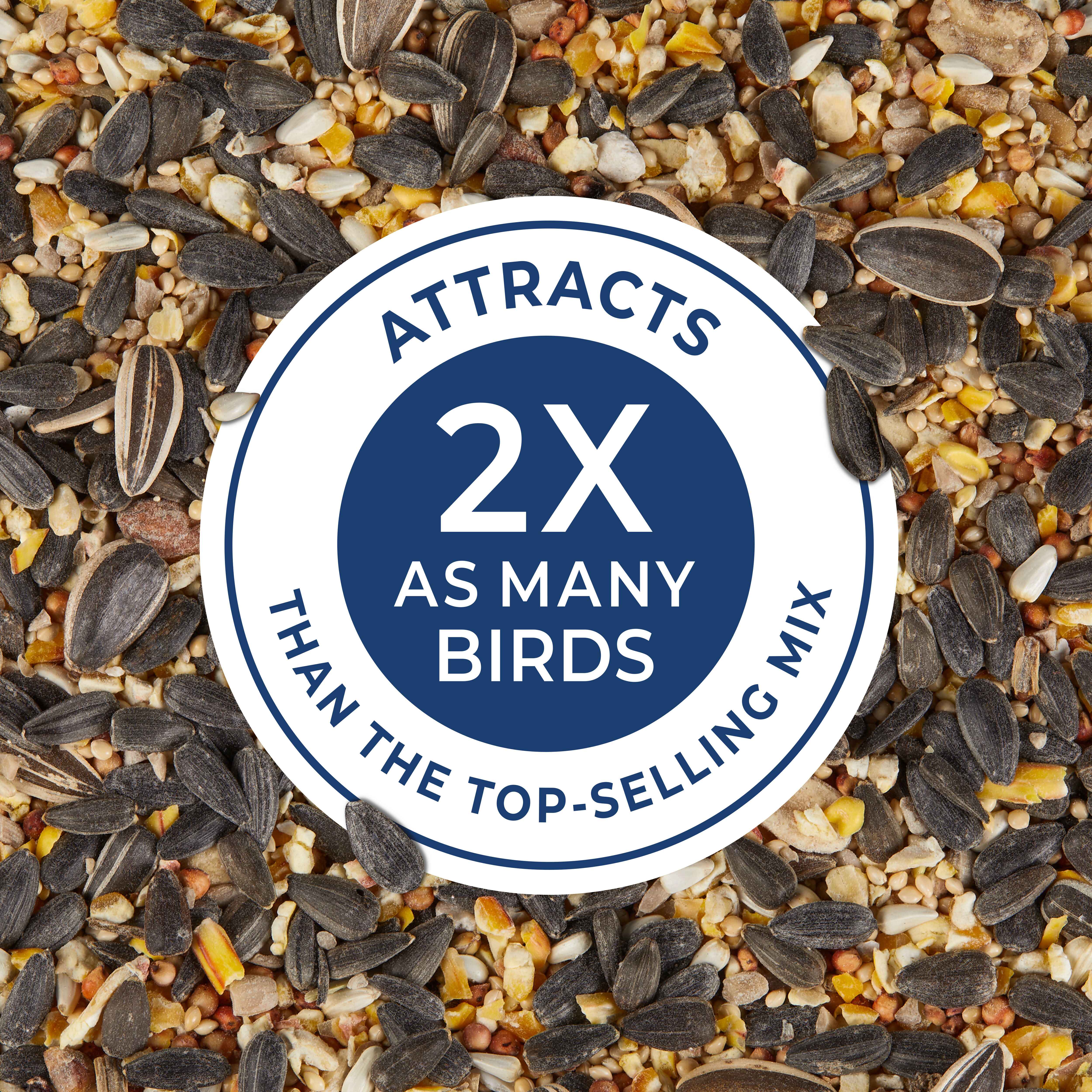 Kaytee Birders' Paradise Blend 20lb Wild Bird Seed for Cardinals, Finches & Songbirds