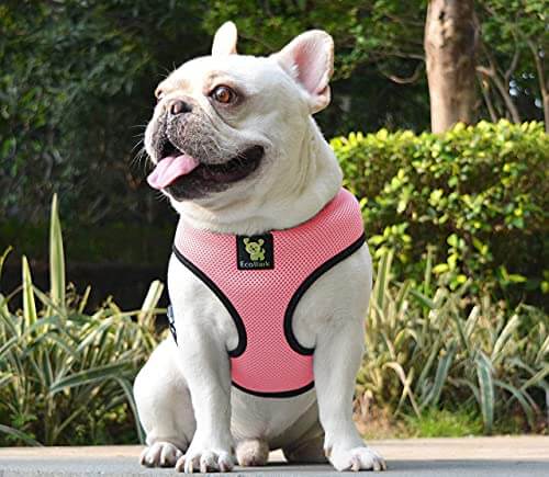 EcoBark Bubblegum Pink Dog Harness - Over-the-Head Dog Vest Halter for Small to Medium Dogs and Puppies