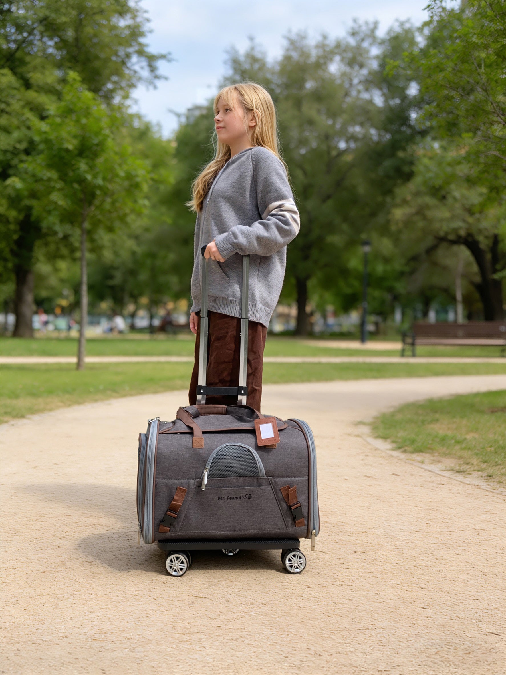 Mr. Peanut's Gold Series Standard Size Airline Compliant Pet Carrier V3.0