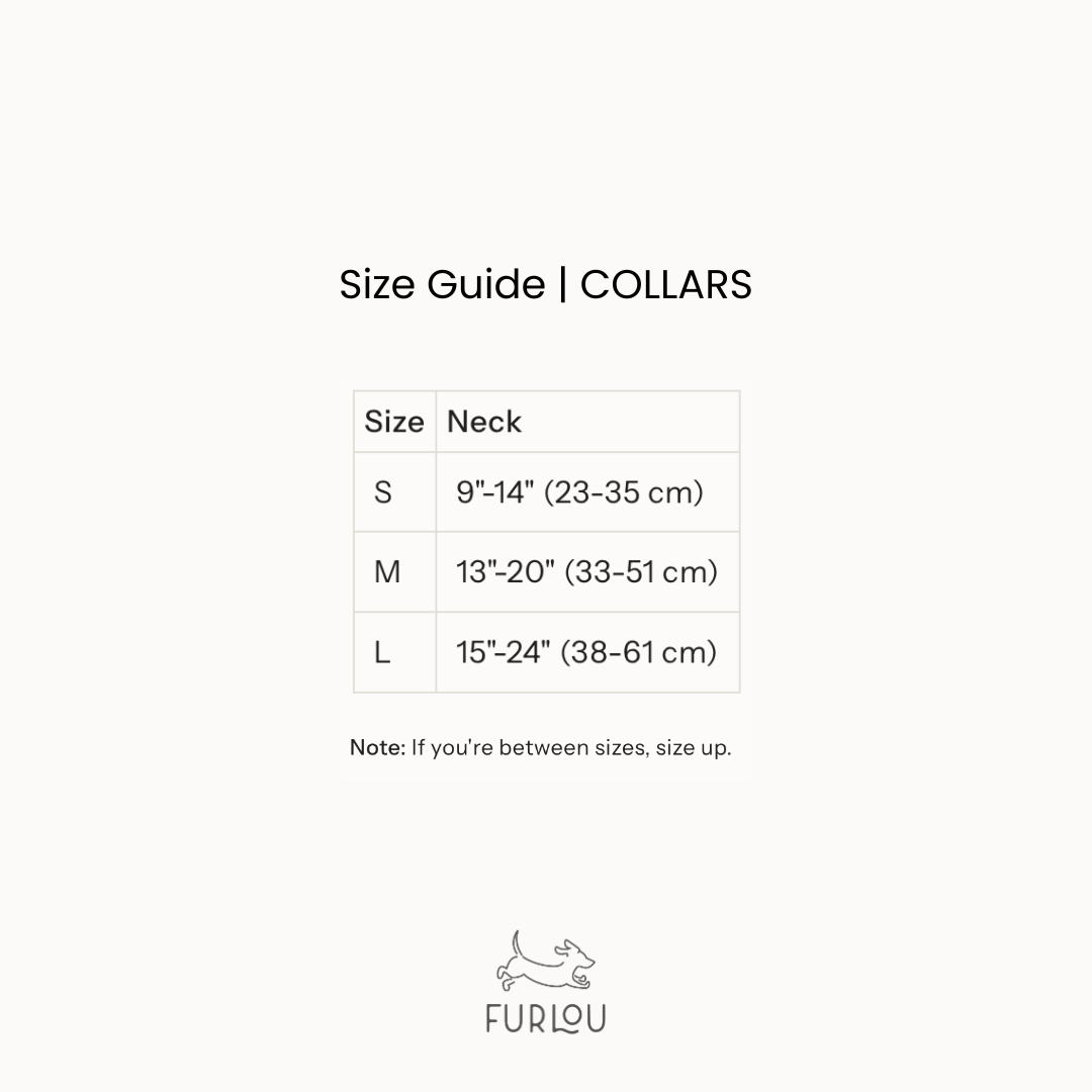 'Lavender' - Canvas Dog Collar