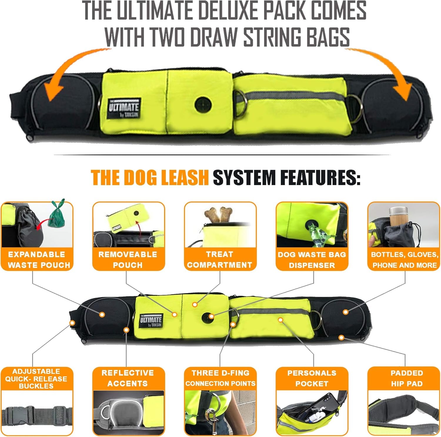 Hands Free Dog Leash Two Dogs Double Bungee Reflective Running Kit