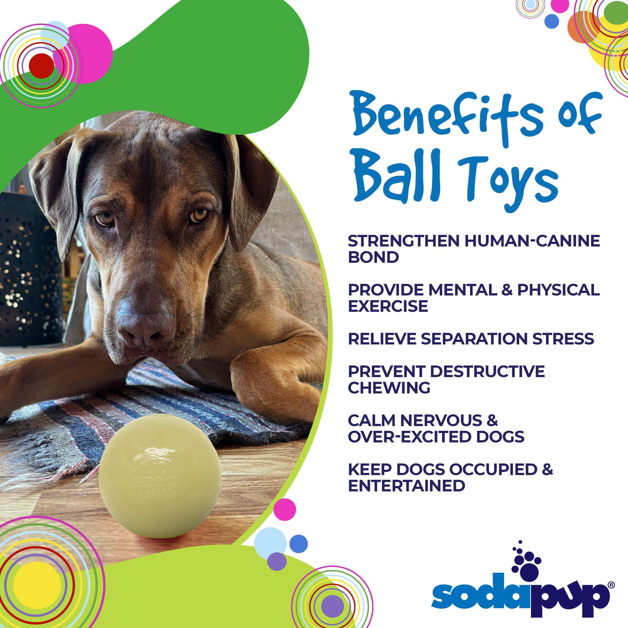 Squeak Ball - Durable Squeaky Dog Toy, Floats, Chew Toy | USA Made