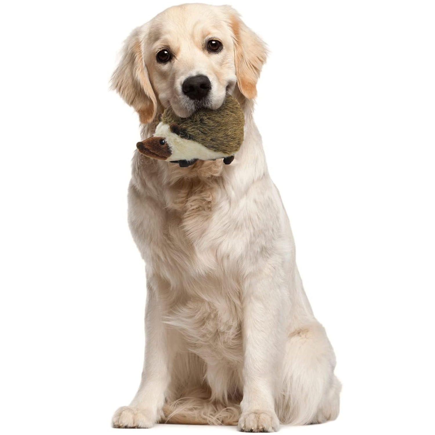 Classic - Dog Toys - Squeaky Dog Hedgehog Toys for Dogs