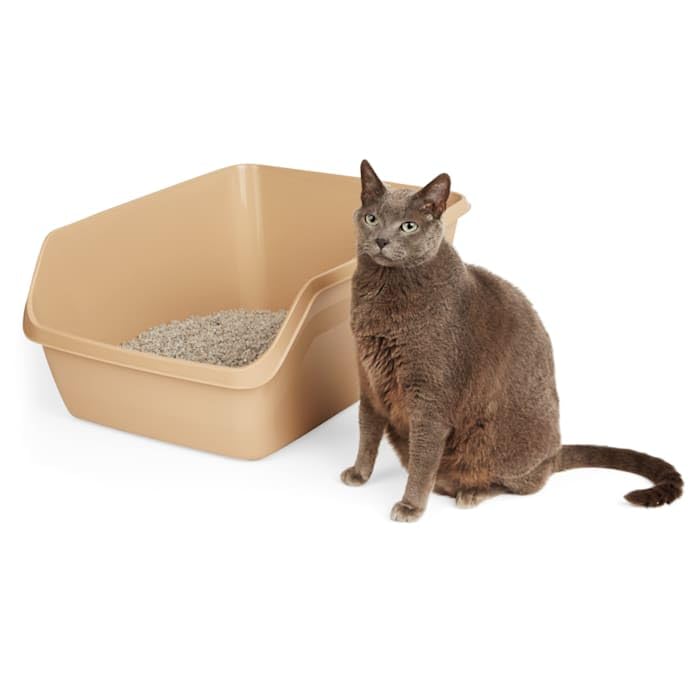 SO PHRESH High-Back Litter Box, Tan, X-Large, 24" L x 18" W x 10" H, Durable Resin Design