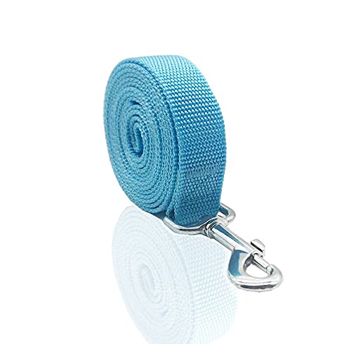 Nylon Dog Leash 12 Feet Long, Walking Training Dog Leashes For Medium Large Dogs(1'' X 12 Ft, Blue)