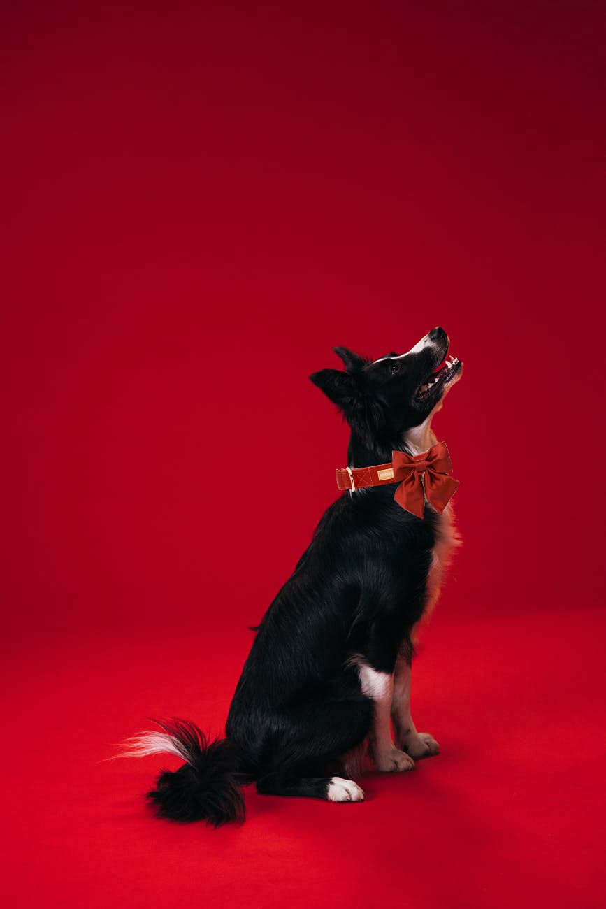 Unique Style Paws Silk Halloween Dog Collar Adjustable Durable Dog Collar With Bow Holiday Bowtie Collar For Large Dogs