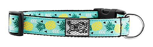Rc Pets 1 Inch Adjustable Dog Clip Collar, Large, Pineapple Parade