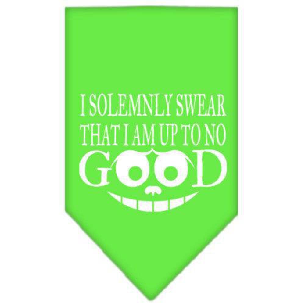 Pet and Dog Bandana Screen Printed, "I Solemnly Swear That I Am Up To No Good" Grey Small