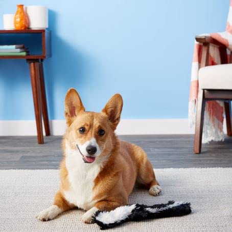 Ethical Products 5500 Mini Skinneeez Skunk Dog Toy, 14-In. - Quantity 33