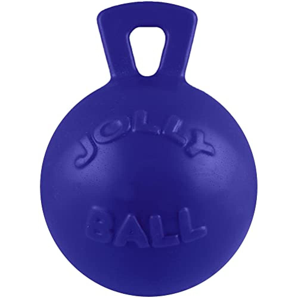 Jolly Pets Dog 10-Inch Tug-N-Toss, Blue