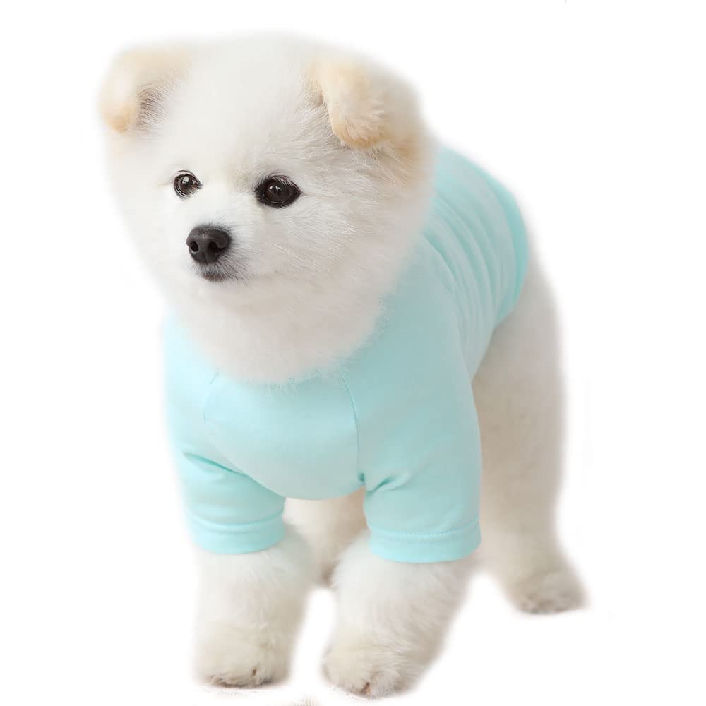 Lucky Petter Dog Shirt For Small Dogs Plain T-Shirts Soft Breathable Dog Cotton Shirt Pet Clothes (Small, Mint)