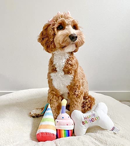 Tonbo Cute Fun Plush Dog Toys (Birthday Party Combo)
