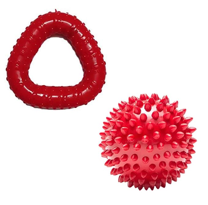 4PAWS 2in1 Dog Chew Toys Combo for Small & Medium Dogs | Triangle Chew Toy + Squeaky Spike Ball | Durable Chew Toys for Teethi