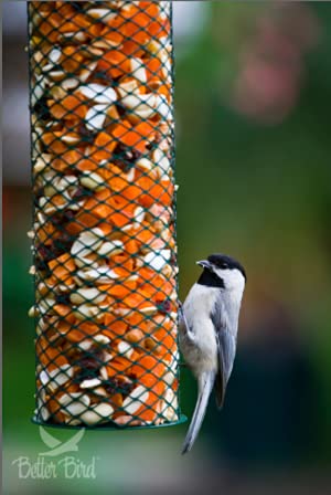 Better Bird Beautiful Bird Food, 5 Lb