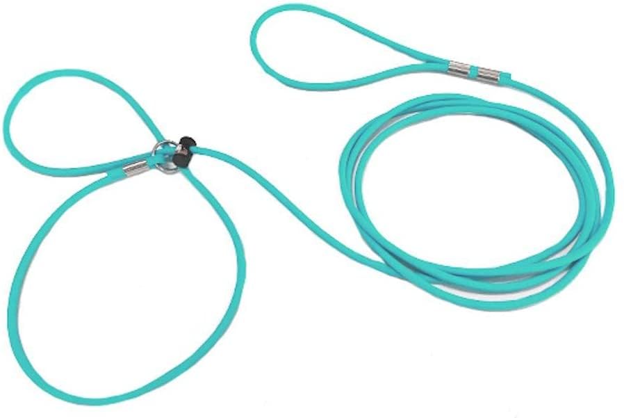 12-Foot Mini Pig Harness - Adjustable Harness & Leash for All Animals - Pigs, Ferrets, Rabbits, Guinea Pigs, Dogs, Cats, Reptile