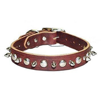 Omnipet Leather Brothers 100Lks-Bk24 1 X 24-Inch Regular Spiked And Studded Latigo Leather Dog Collar, X-Large, Black