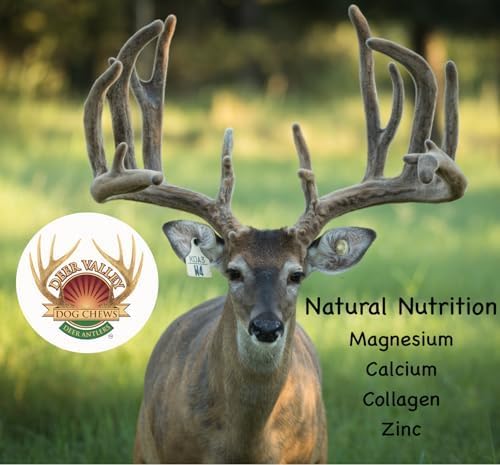 Deer Valley Dog Chews (Large 3 Pack, 6-7 Inches) Premium Deer Antler for Dogs - Ethically-Sourced and Irresistible Dog Chew Toy