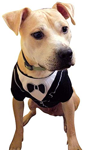 Frenchie Mini Couture Dog Tuxedo, (Small)