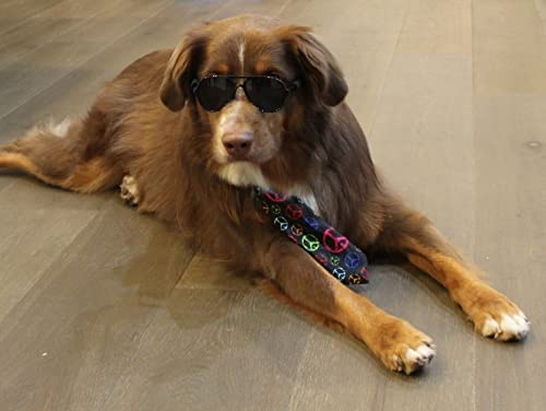 G010 Dog Pet Costume Prop Aviator Sunglasses Medium Breeds 20-40 Lbs (2-Pack Black+Pink-Rose Gold Mr)