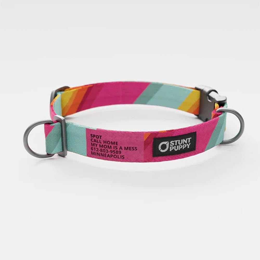 All Are Welcome Here Everyday Collar Extra-Large