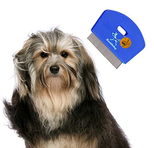 2 In 1 Adjustable Dog Brush/Pet Comb For Grooming Cum Massager & Safety For Pets From Mites/Lice/Ticks For Dog/Puppy/Kitten/Cat 